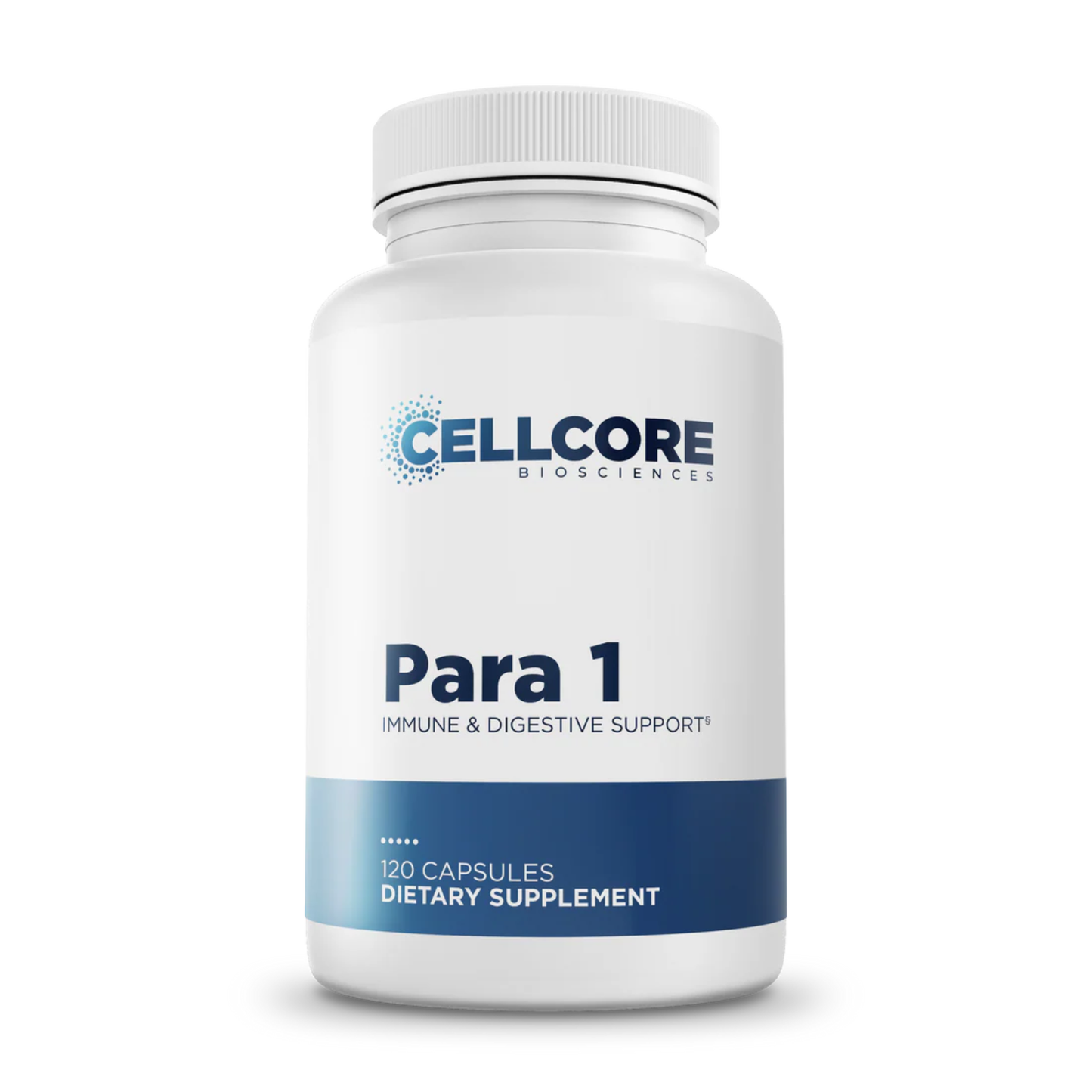 Para 1